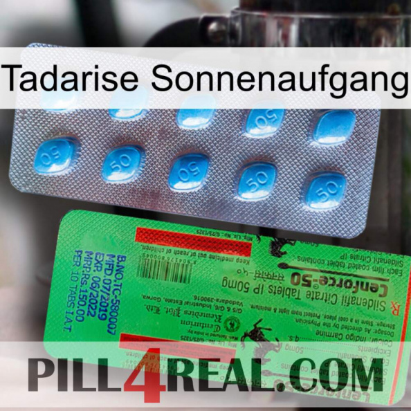 Tadarise Sunrise new03.jpg